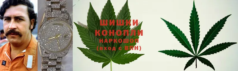 Конопля White Widow  Лениногорск 